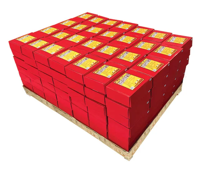 3 Day Kids Survival Kit in Box