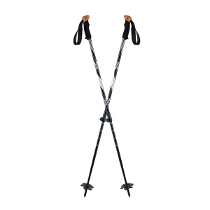 ATLAS 2 PC POLES 2024