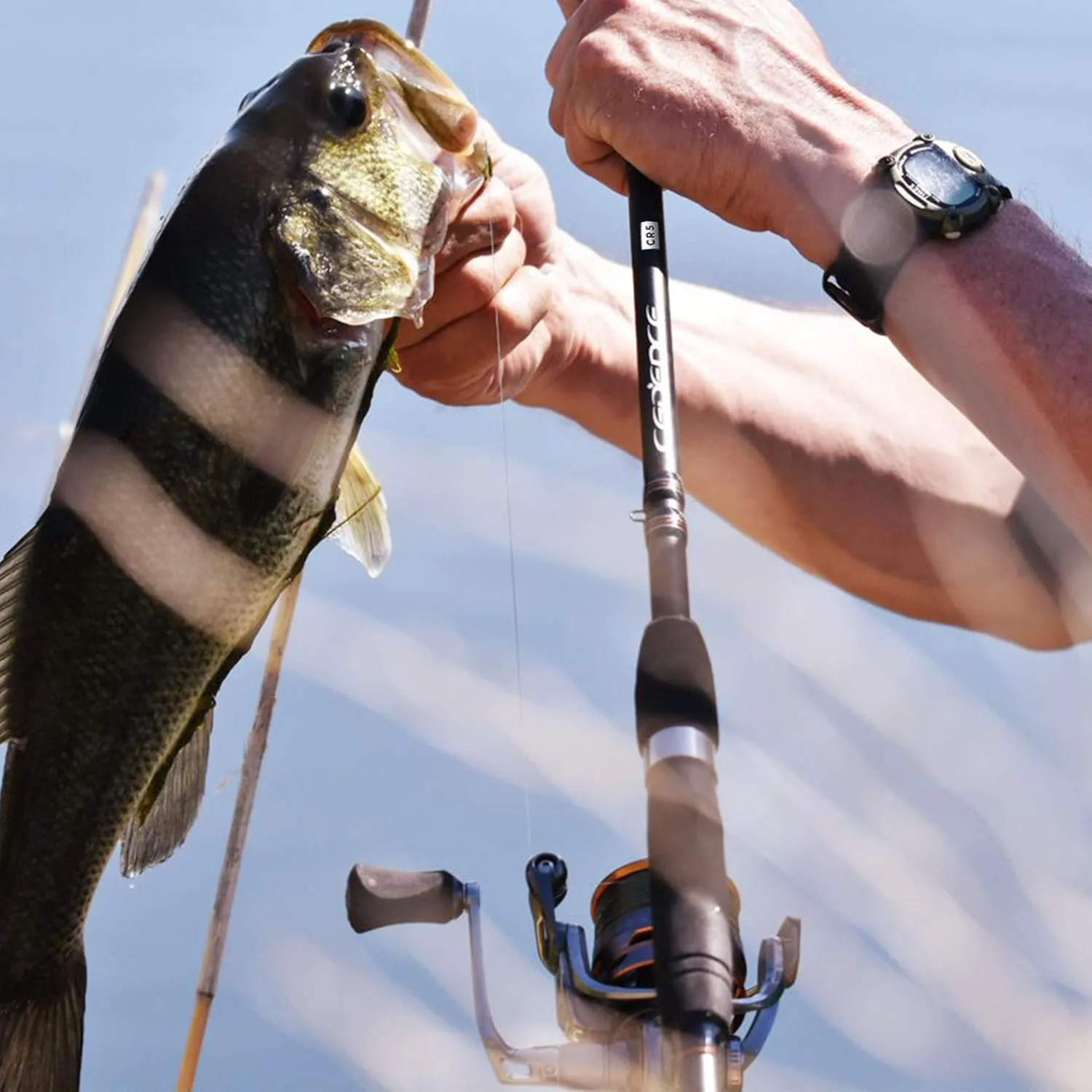 Cadence Fishing CR5 Spinning Rods | 30 Ton Carbon | Fuji Reel Seat | Stainless Steel Guides with SiC Inserts