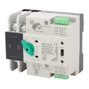 Dual Power Automatic Transfer Switch, 2P 100A AC110V Changeover Switch Automatic Transfer Switch, 50Hz 60Hz Dual Power Toggle Controller Dual Electronic Power Circuit Breaker