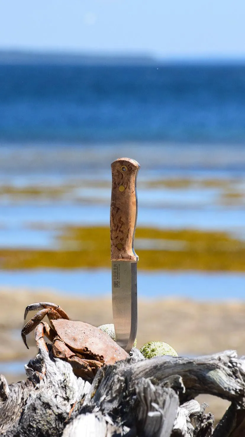 Joker Full Tang Scandi Bushlord 138 Hunting Knife, Curly Birch and Walnut Handle, 4.5-inch Blade, with Brown Leather Sheath, Fishing, Hunting, Camping, and Hiking Tool. (Curly Birch Wood, Leather Sheath with FireStarter)