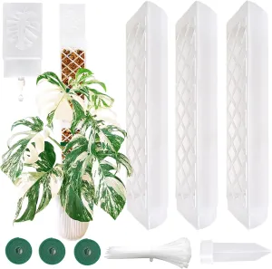 MIIIM 3 Pcs Self-Watering Moss Poles, D Shape Moss Pole Kit for Climbing Plants Indoor, Semi Transparent Monstera Plant Support, 39 Inches in Total Length