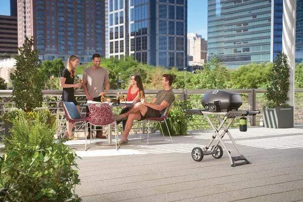 Napoleon Portable PRO285X-BK with (Black) Propane BBQ PRO Cart TravelQ Secure payment options 285X Scissor Budget-conscious
