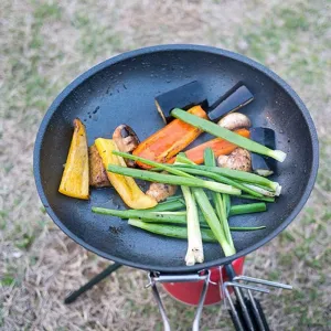 Outdoors Folding Pan, Nonstick Round Frying pan with Foldable Handle, Portable Camping Cookware for Indoor Outdoors Cooking, Grilling, Frying, Picnic