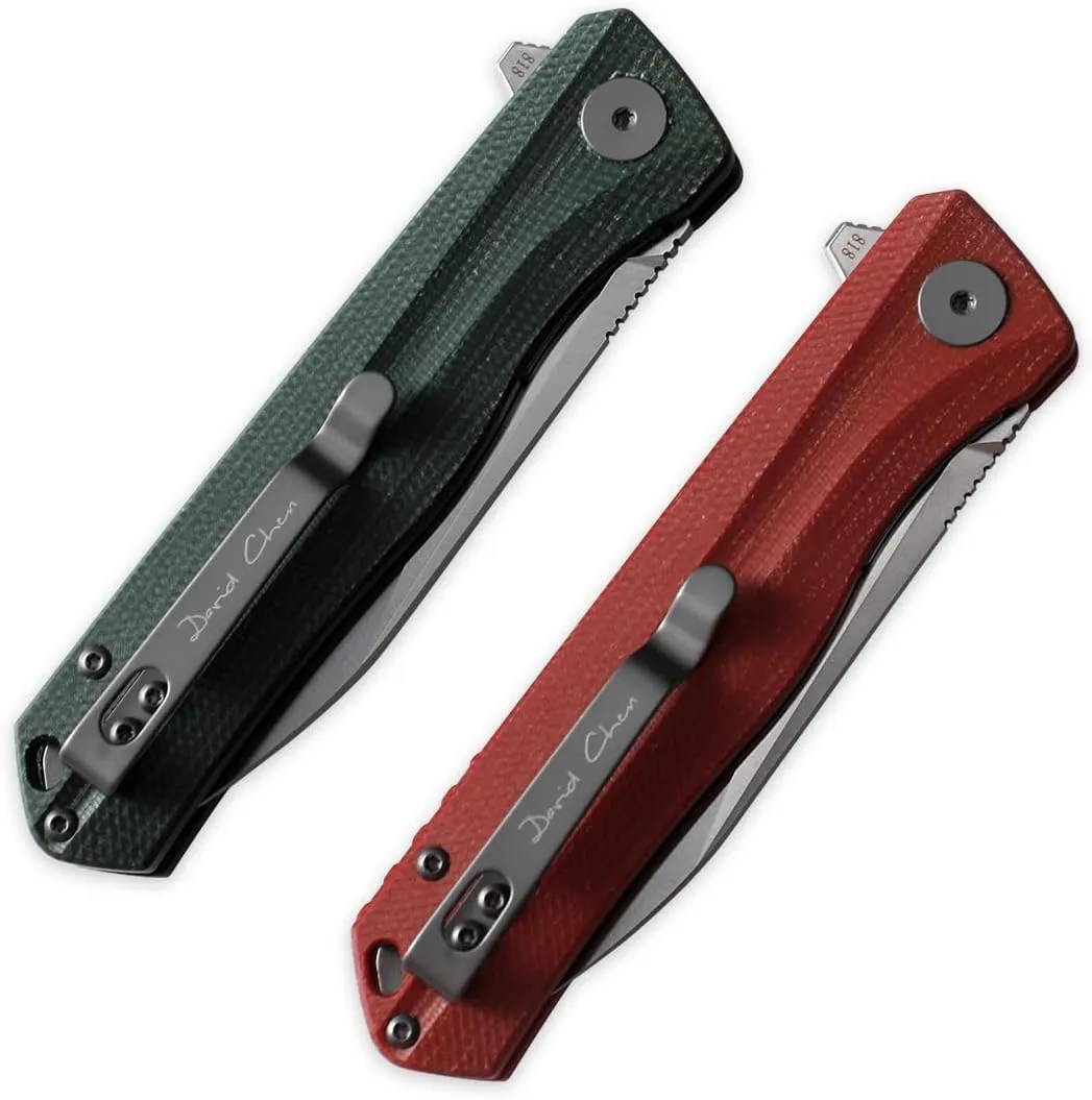 Petrified fish G10 handle D2 steel blade 2CR13 liner ball bearing flipper folding knife camping hunting EDC pocket tool PF818 (Gray, Satin)