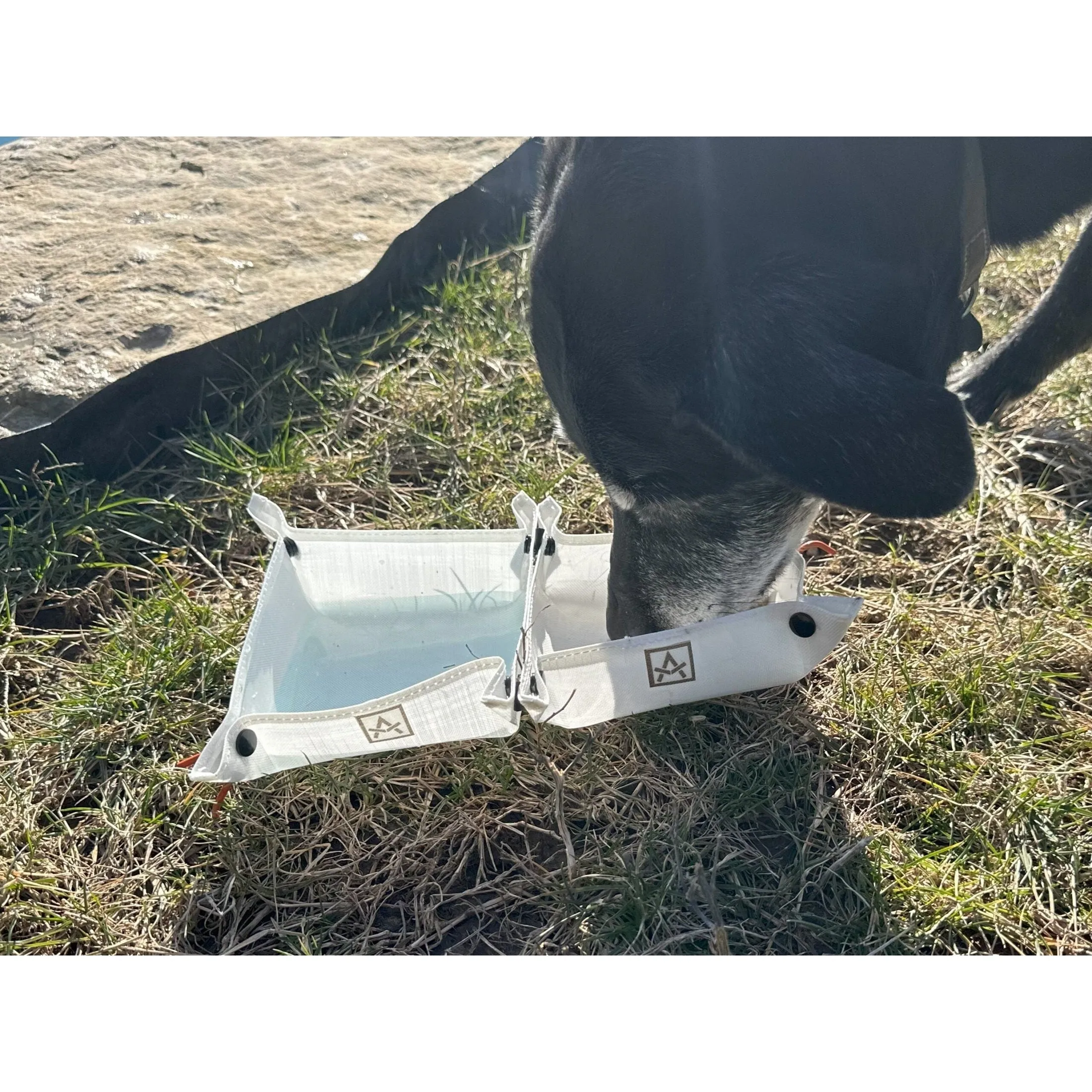 Ultralight Dog Bowl