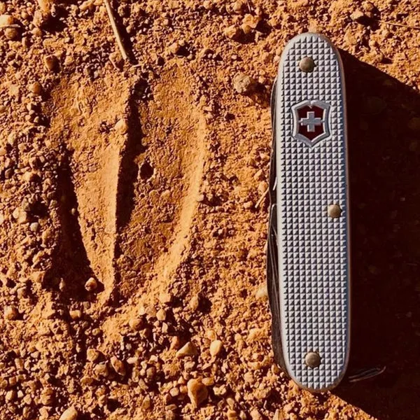 Victorinox Pioneer X Alox - Silver